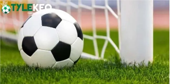 kèo phạt đền handicap là gì